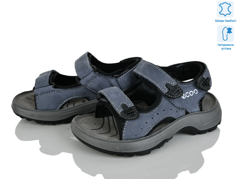 T61-2D, 8 (27-31), <strong>560</strong>, літо