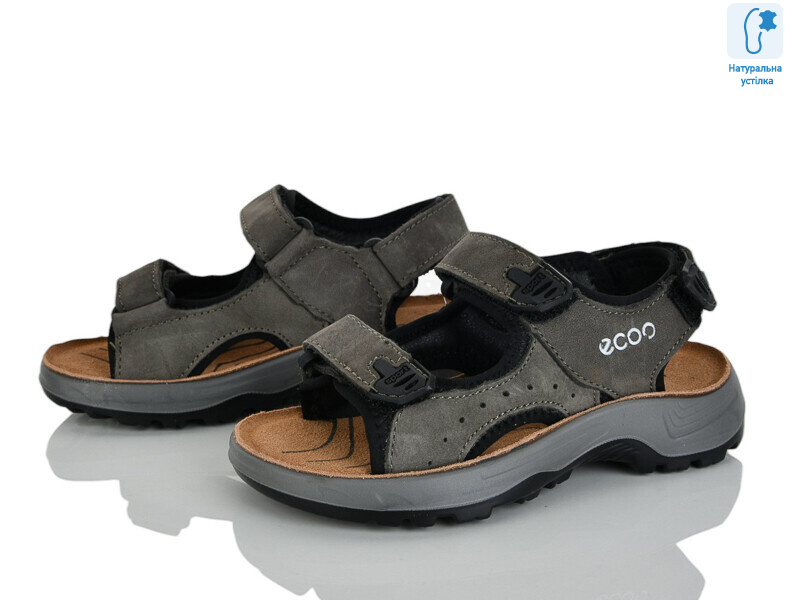 T61-2L, 8 (27-31), <strong>560</strong>, літо