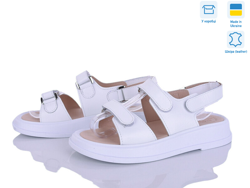 718-8A, 6 (36-40), <strong>730</strong>, літо