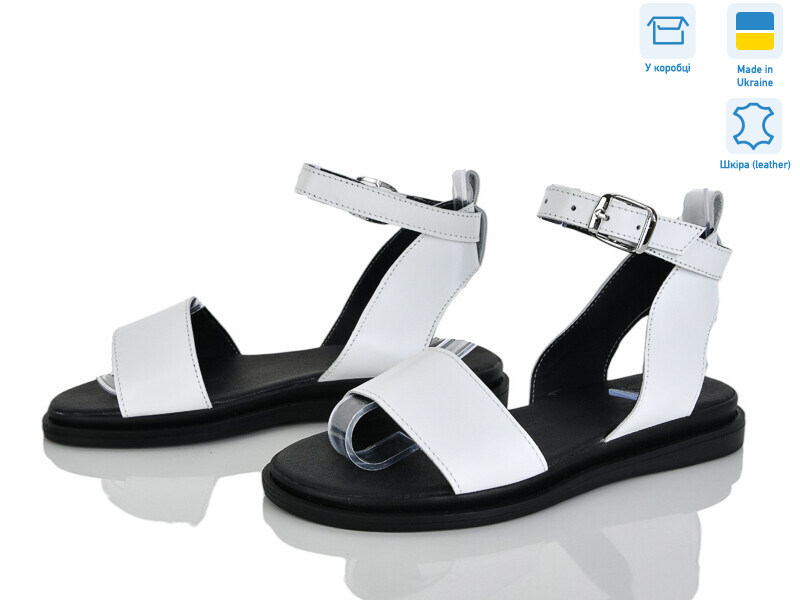 305-81A, 6 (36-40), <strong>580</strong>, літо