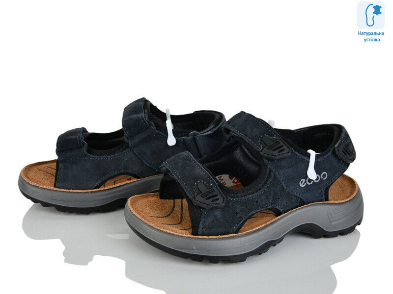 T61-2B, 8 (27-31), <strong>560</strong>, літо