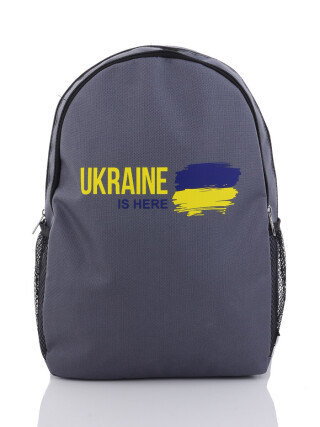 FT001-14 grey, 2, <strong>300</strong>, демісезон