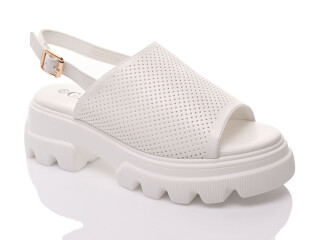 DS23112-2, 12 (36-41), <strong>15.8</strong>, літо