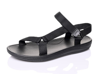 DZ300A, 12 (36-41), <strong>11</strong>, літо