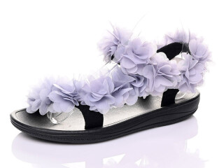 DZ309-26, 12 (36-41), <strong>11.5</strong>, літо