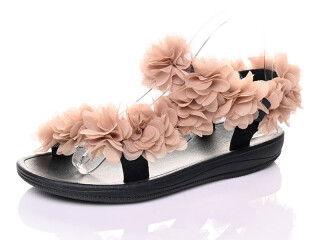 DZ309-63, 12 (36-41), <strong>11.5</strong>, літо