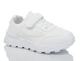 XF01-529-015, 12 (32-37), <strong>295</strong>