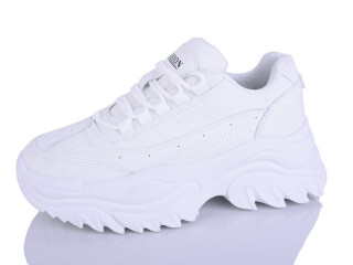 JP66-2, 8 (36-41), <strong>450</strong>, демісезон