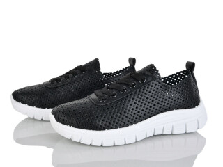 243-24, 8 (36-41), <strong>380</strong>, літо