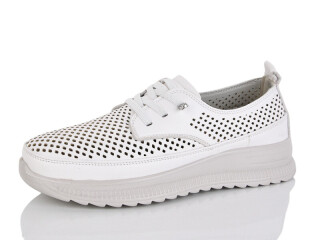 BK1551-3, 8 (36-41), <strong>510</strong>, літо