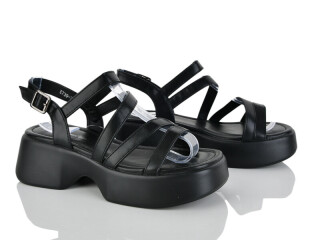 E739-2, 8 (36-41), <strong>650</strong>, літо