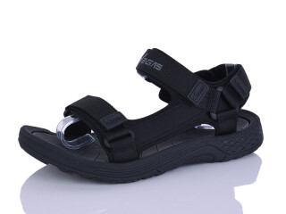 A528-1, 8 (41-46), <strong>12</strong>, літо