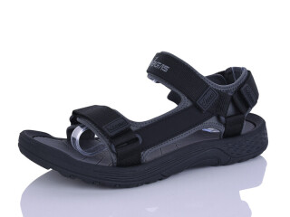 A528-2, 8 (41-46), <strong>12</strong>, літо