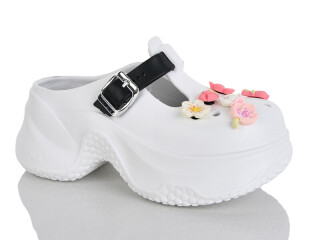 QQ89-2, 6 (36-41), <strong>430</strong>, літо