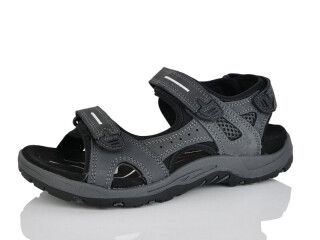 A503-3, 8 (41-46), <strong>16</strong>, літо