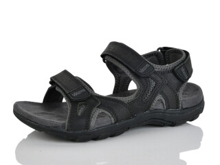 A506-2, 8 (41-46), <strong>16</strong>, літо