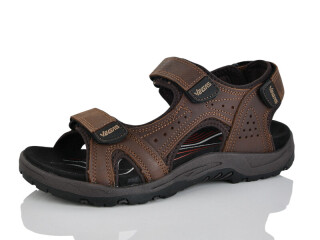 A507-4, 8 (41-46), <strong>16</strong>, літо