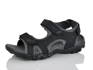 A511-2, 8 (41-46), <strong>16</strong>, літо