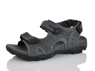 A511-3, 8 (41-46), <strong>16</strong>, літо