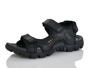 A509-1, 8 (41-46), <strong>16</strong>, літо