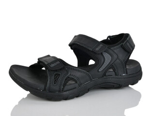 A513-1, 8 (41-46), <strong>16</strong>, літо