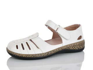 LH25-21, 8 (36-41), <strong>550</strong>, літо