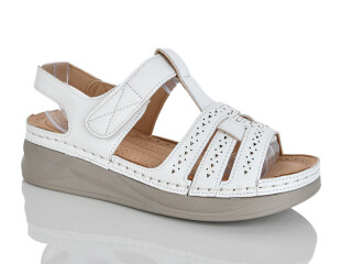 729-2, 8 (37-42), <strong>400</strong>, літо