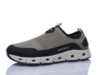 L1869-26, 8 (37-41), <strong>17</strong>, літо