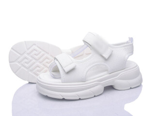 FG627-3C, 8 (32-37), <strong>550</strong>, літо