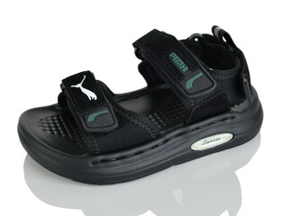 T66-1, 10 (21-25), <strong>460</strong>, літо