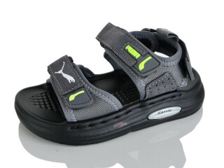 T66-3, 10 (21-25), <strong>460</strong>, літо