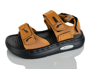 T66-4, 10 (21-25), <strong>460</strong>, літо