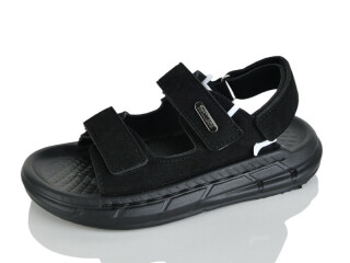 R83-1, 10 (31-36), <strong>560</strong>, літо