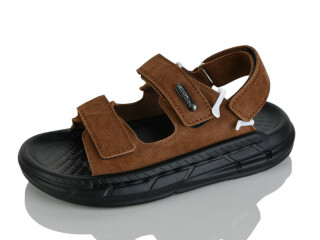 R83-2, 10 (31-36), <strong>560</strong>, літо