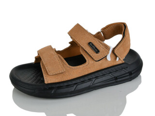 R83-4, 10 (31-36), <strong>560</strong>, літо