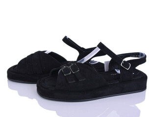 E719-1, 8 (36-41), <strong>750</strong>, літо