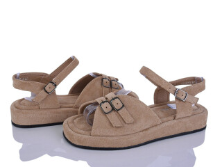 E719-3, 8 (36-41), <strong>750</strong>, літо