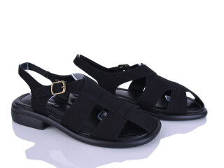 E786-1, 8 (36-41), <strong>750</strong>, літо