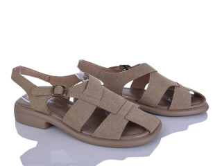 E786-3, 8 (36-41), <strong>750</strong>, літо