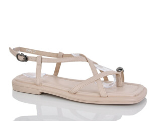 S58-3, 6 (36-41), <strong>750</strong>, літо