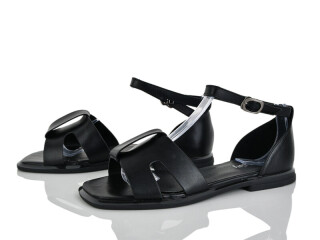 2817-29, 8 (36-41), <strong>580</strong>, літо