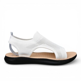 DF11-2, 8 (40-43), <strong>330</strong>, літо