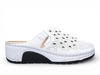 A802-2, 8 (36-41), <strong>430</strong>, літо