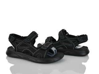 B058-55, 8 (36-41), <strong>420</strong>, літо