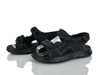 C0560-53, 8 (32-37), <strong>410</strong>, літо