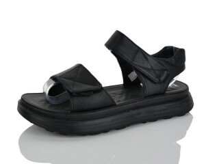 19-1, 8 (36-41), <strong>460</strong>, літо