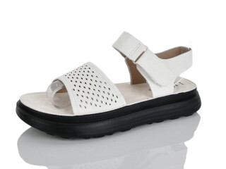 20-6, 8 (36-41), <strong>460</strong>, літо