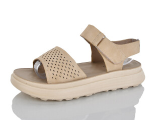 20-9, 8 (36-41), <strong>460</strong>, літо