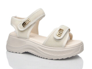 730, 8 (36-41), <strong>570</strong>, літо