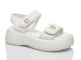 727-2, 8 (36-41), <strong>570</strong>, літо